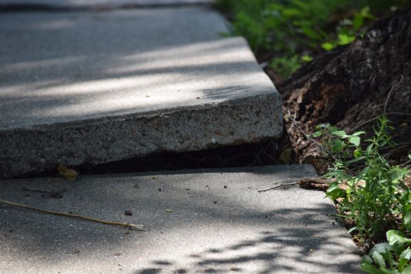 Cost of Sidewalk Leveling in Lakeville